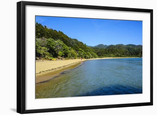 Long Sandy Beach, Abel Tasman National Park, South Island, New Zealand, Pacific-Michael-Framed Photographic Print