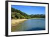 Long Sandy Beach, Abel Tasman National Park, South Island, New Zealand, Pacific-Michael-Framed Photographic Print