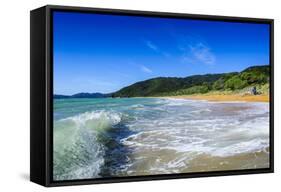 Long Sandy Beach, Abel Tasman National Park, South Island, New Zealand, Pacific-Michael-Framed Stretched Canvas