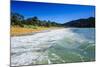 Long Sandy Beach, Abel Tasman National Park, South Island, New Zealand, Pacific-Michael-Mounted Photographic Print