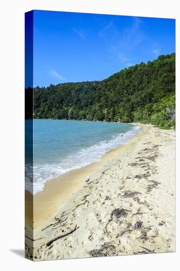 Long Sandy Beach, Abel Tasman National Park, South Island, New Zealand, Pacific-Michael-Stretched Canvas