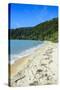 Long Sandy Beach, Abel Tasman National Park, South Island, New Zealand, Pacific-Michael-Stretched Canvas