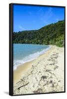 Long Sandy Beach, Abel Tasman National Park, South Island, New Zealand, Pacific-Michael-Framed Photographic Print