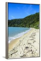 Long Sandy Beach, Abel Tasman National Park, South Island, New Zealand, Pacific-Michael-Framed Photographic Print