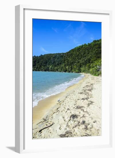 Long Sandy Beach, Abel Tasman National Park, South Island, New Zealand, Pacific-Michael-Framed Photographic Print