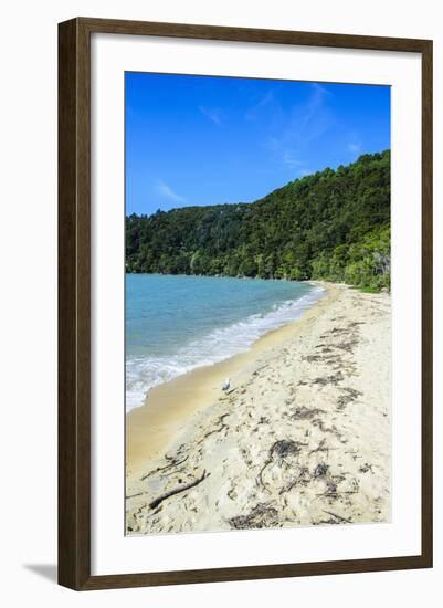 Long Sandy Beach, Abel Tasman National Park, South Island, New Zealand, Pacific-Michael-Framed Photographic Print