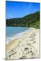 Long Sandy Beach, Abel Tasman National Park, South Island, New Zealand, Pacific-Michael-Mounted Photographic Print