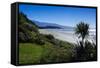 Long Sandy Beach, Abel Tasman National Park, South Island, New Zealand, Pacific-Michael-Framed Stretched Canvas