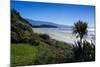 Long Sandy Beach, Abel Tasman National Park, South Island, New Zealand, Pacific-Michael-Mounted Photographic Print