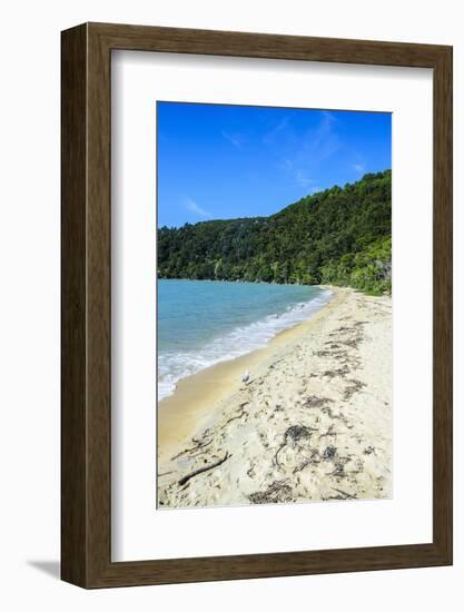 Long Sandy Beach, Abel Tasman National Park, South Island, New Zealand, Pacific-Michael-Framed Photographic Print