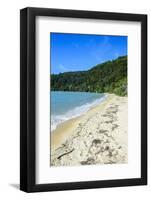 Long Sandy Beach, Abel Tasman National Park, South Island, New Zealand, Pacific-Michael-Framed Photographic Print