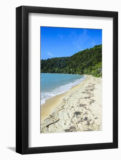 Long Sandy Beach, Abel Tasman National Park, South Island, New Zealand, Pacific-Michael-Framed Photographic Print