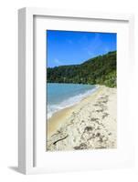 Long Sandy Beach, Abel Tasman National Park, South Island, New Zealand, Pacific-Michael-Framed Photographic Print