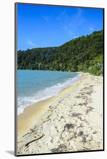 Long Sandy Beach, Abel Tasman National Park, South Island, New Zealand, Pacific-Michael-Mounted Photographic Print