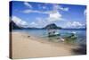 Long Sandy Beach in the Bacuit Archipelago, Palawan, Philippines, Southeast Asia, Asia-Michael Runkel-Stretched Canvas