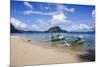 Long Sandy Beach in the Bacuit Archipelago, Palawan, Philippines, Southeast Asia, Asia-Michael Runkel-Mounted Photographic Print