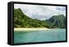 Long Sandy Beach in the Bacuit Archipelago, Palawan, Philippines, Southeast Asia, Asia-Michael Runkel-Framed Stretched Canvas