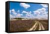 Long Sandy Path in A Colorful Rural Landscape-Ruud Morijn-Framed Stretched Canvas