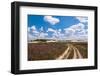 Long Sandy Path in A Colorful Rural Landscape-Ruud Morijn-Framed Photographic Print