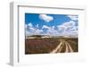 Long Sandy Path in A Colorful Rural Landscape-Ruud Morijn-Framed Photographic Print