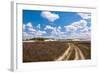 Long Sandy Path in A Colorful Rural Landscape-Ruud Morijn-Framed Photographic Print