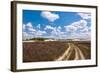 Long Sandy Path in A Colorful Rural Landscape-Ruud Morijn-Framed Photographic Print