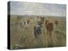 Long Shadows. Cattle on the Island of Saltholm. Ca. 1890-Theodor Philipsen-Stretched Canvas