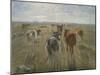 Long Shadows. Cattle on the Island of Saltholm. Ca. 1890-Theodor Philipsen-Mounted Giclee Print