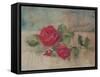 Long Stemmed Rose II-Cheri Blum-Framed Stretched Canvas