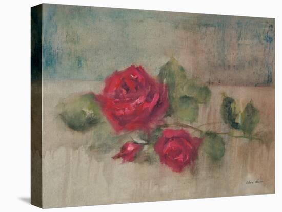 Long Stemmed Rose II-Cheri Blum-Stretched Canvas