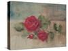 Long Stemmed Rose II-Cheri Blum-Stretched Canvas