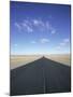 Long Straight Road in Patagonia, Patagonia, Argentina, South America-Gavin Hellier-Mounted Photographic Print
