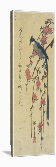 Long-Tail Cock on Drooping Cherry Tree-Utagawa Hiroshige-Stretched Canvas