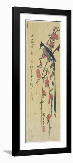 Long-Tail Cock on Drooping Cherry Tree-Utagawa Hiroshige-Framed Giclee Print