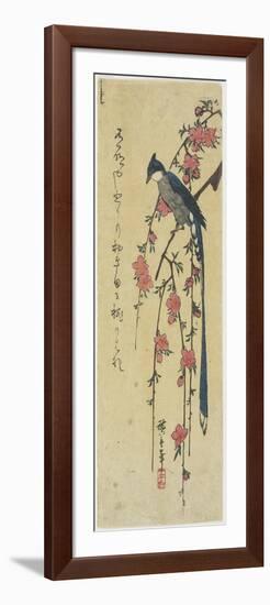 Long-Tail Cock on Drooping Cherry Tree-Utagawa Hiroshige-Framed Giclee Print