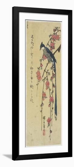 Long-Tail Cock on Drooping Cherry Tree-Utagawa Hiroshige-Framed Giclee Print