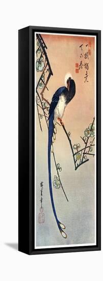 Long Tailed Blue Bird on Branch of Plum Tree in Blossom, 19th Century-Ando Hiroshige-Framed Stretched Canvas