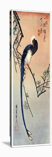 Long Tailed Blue Bird on Branch of Plum Tree in Blossom, 19th Century-Ando Hiroshige-Stretched Canvas