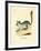 Long-Tailed Chinchilla-null-Framed Giclee Print