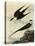 Long-Tailed Jaeger-John James Audubon-Stretched Canvas