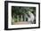 Long-Tailed Macaque at Batu Caves, Kuala Lumpur, Malaysia-Paul Souders-Framed Photographic Print