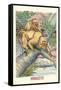 Long-Tailed Monkeys-null-Framed Stretched Canvas