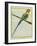 Long-Tailed Parakeet-Georges-Louis Buffon-Framed Giclee Print