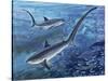 Long Tailed Thresher Shark Swimming Underwater (Alopias Vulpinus)-null-Stretched Canvas