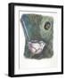 Long-Tailed Tit Aegithalos Caudatus Bringing Food to Young in Nest-null-Framed Giclee Print