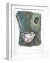 Long-Tailed Tit Aegithalos Caudatus Bringing Food to Young in Nest-null-Framed Giclee Print