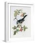 Long-Tailed Tit and Rosehips-Nell Hill-Framed Giclee Print