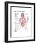 Long Term Effects of Alcohol-Spencer Sutton-Framed Art Print