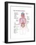 Long Term Effects of Alcohol-Spencer Sutton-Framed Art Print