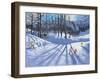 Long tree shadows and skiers, Tignes-Andrew Macara-Framed Giclee Print